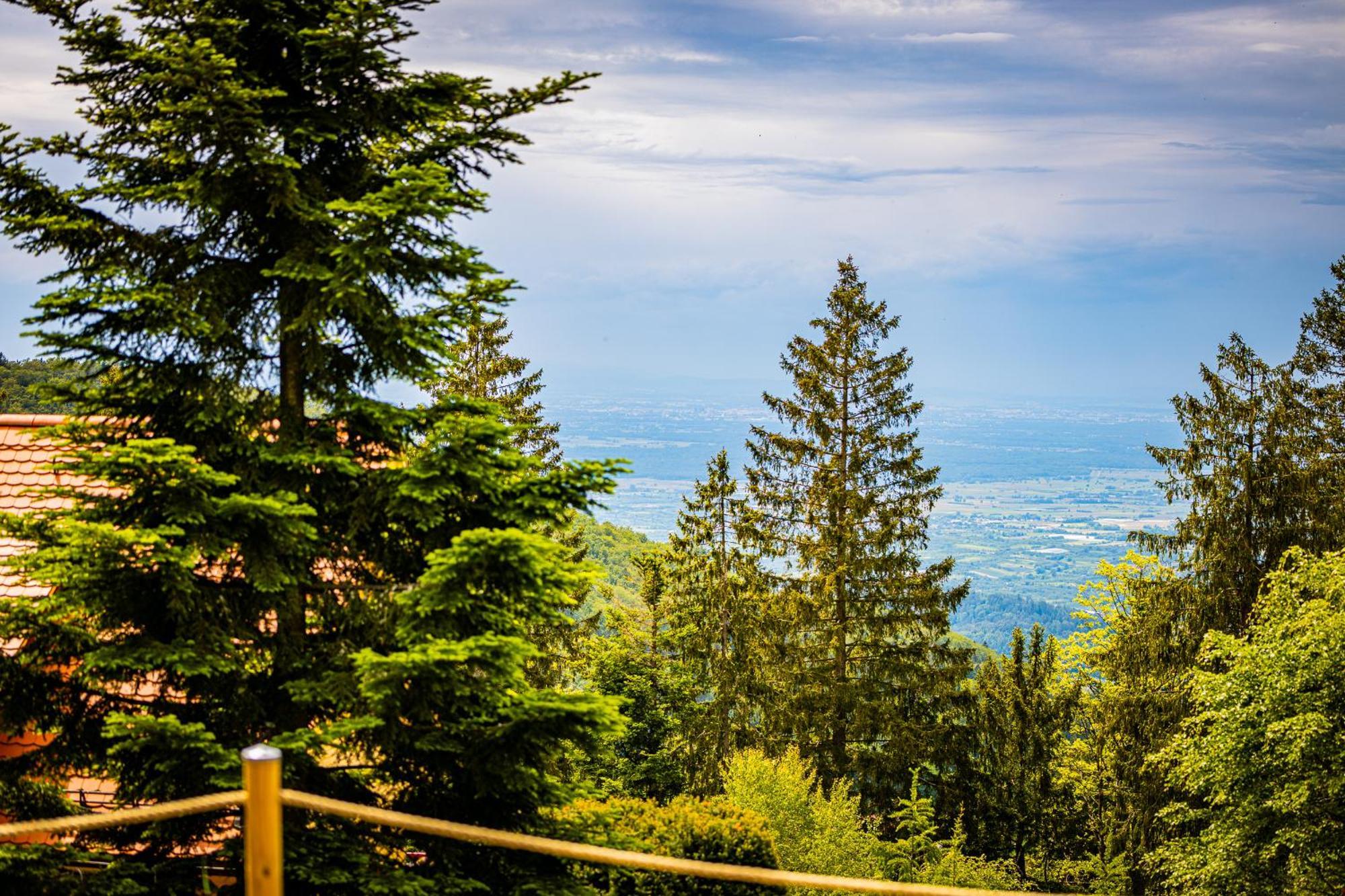 Sonnenhaeusle - Natur. Fernblick. Panorama-Sauna. Sasbachwalden Exterior photo