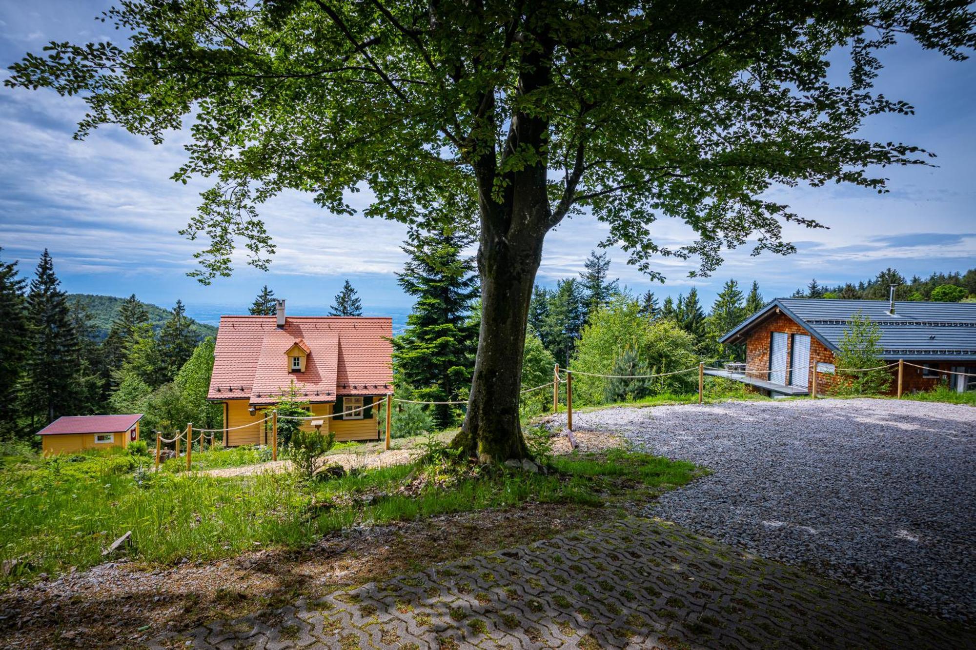 Sonnenhaeusle - Natur. Fernblick. Panorama-Sauna. Sasbachwalden Exterior photo