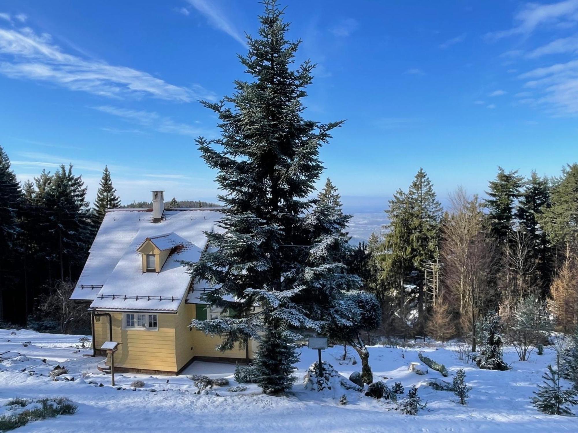 Sonnenhaeusle - Natur. Fernblick. Panorama-Sauna. Sasbachwalden Exterior photo
